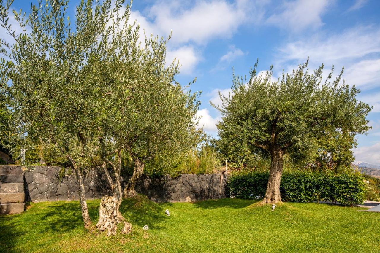 Design Villa In Piedimonte Etneo Exterior photo